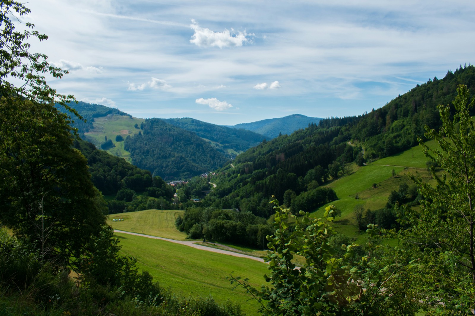 Kurven im Schwarzwald