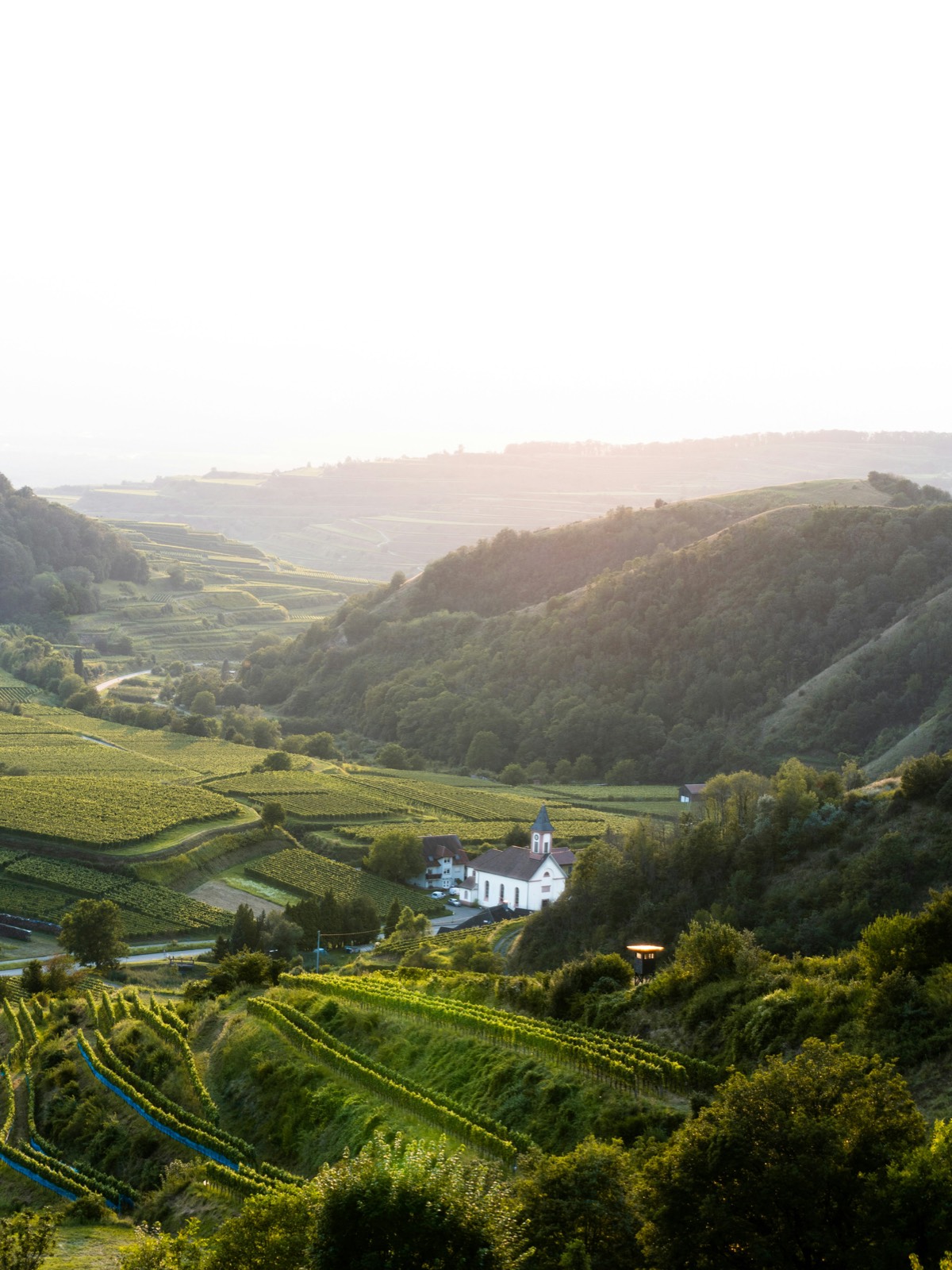 Kurven in den Vogesen und im Kaiserstuhl